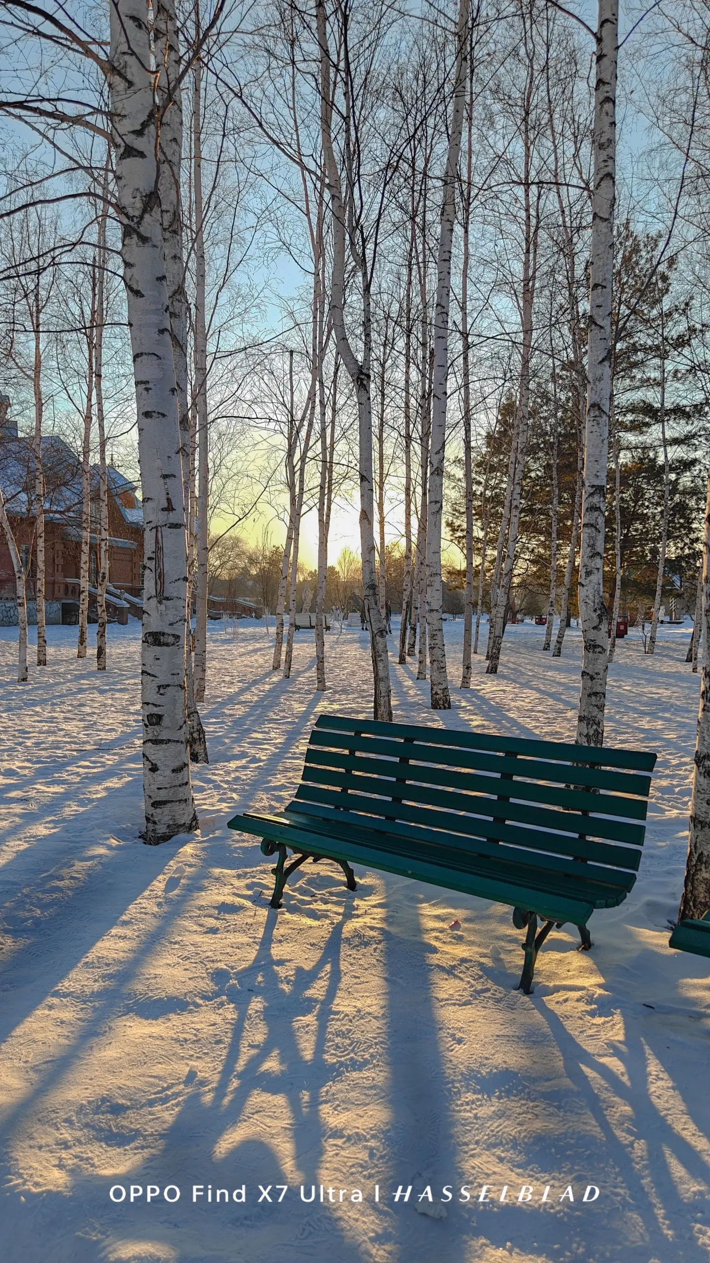 今日小雪！ 雪落人间，愿吹散所有烦恼，岁岁又年年 分享一下我今年在哈尔...