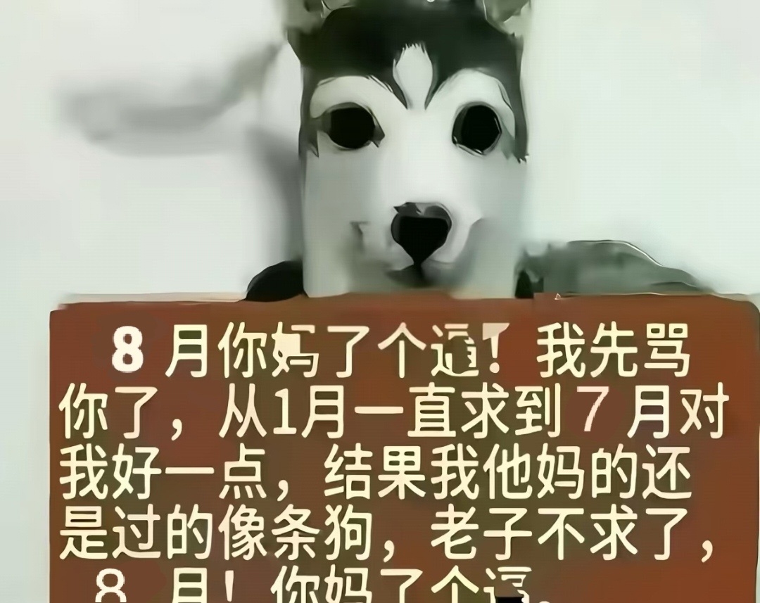 分享图片 