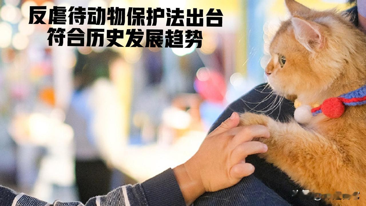 反虐待动物保护法的出台是文明发展的必然，根本容不下抬杠的余地。放眼全球，上百个国