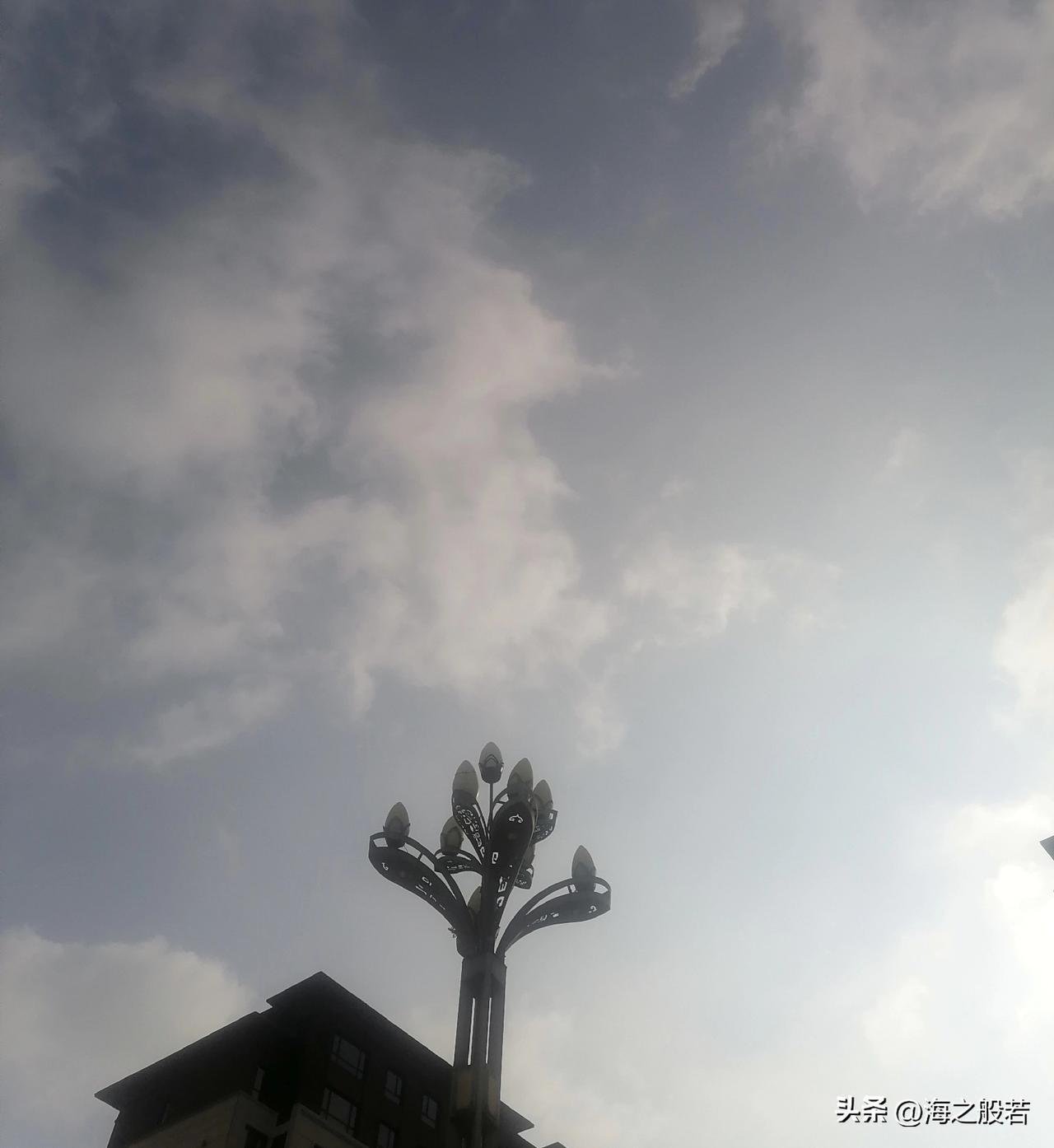 3月13日，北京白天阴有小雨，最高气温8℃，夜间阴有小雨，山区有雨夹雪，南转北风