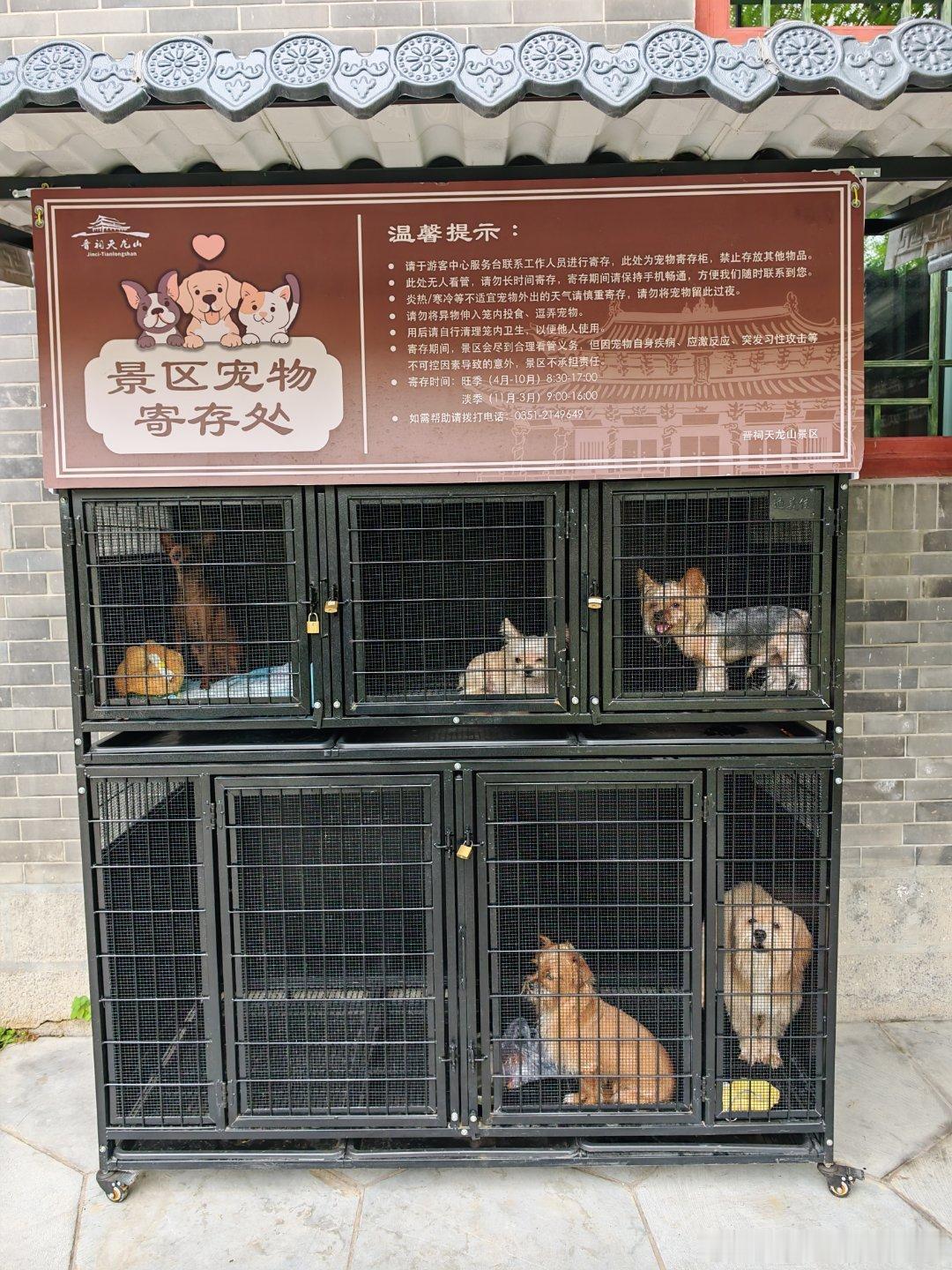像极了陪老婆买衣服的我
