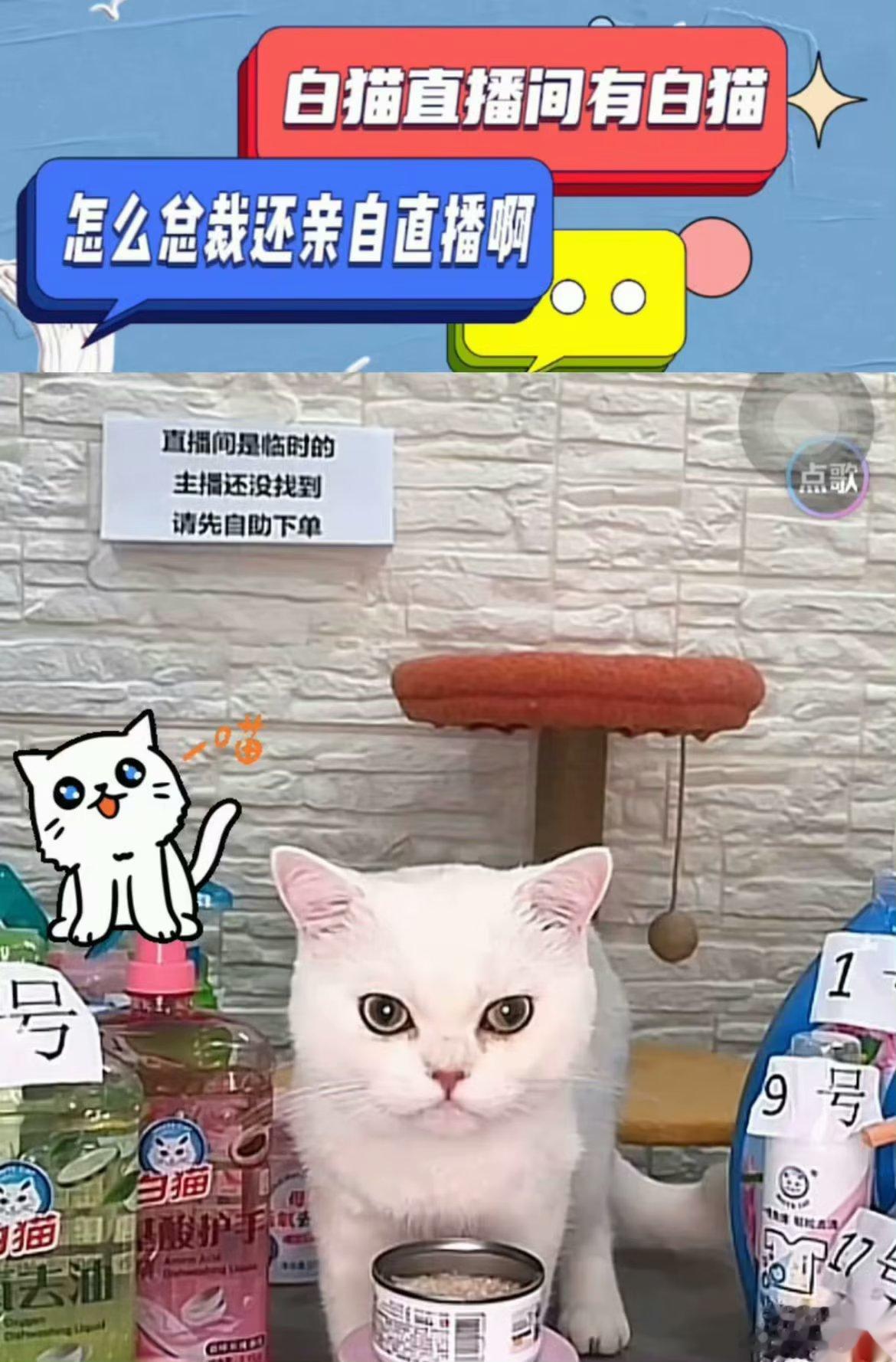 现在压力给到了白象 ​​​