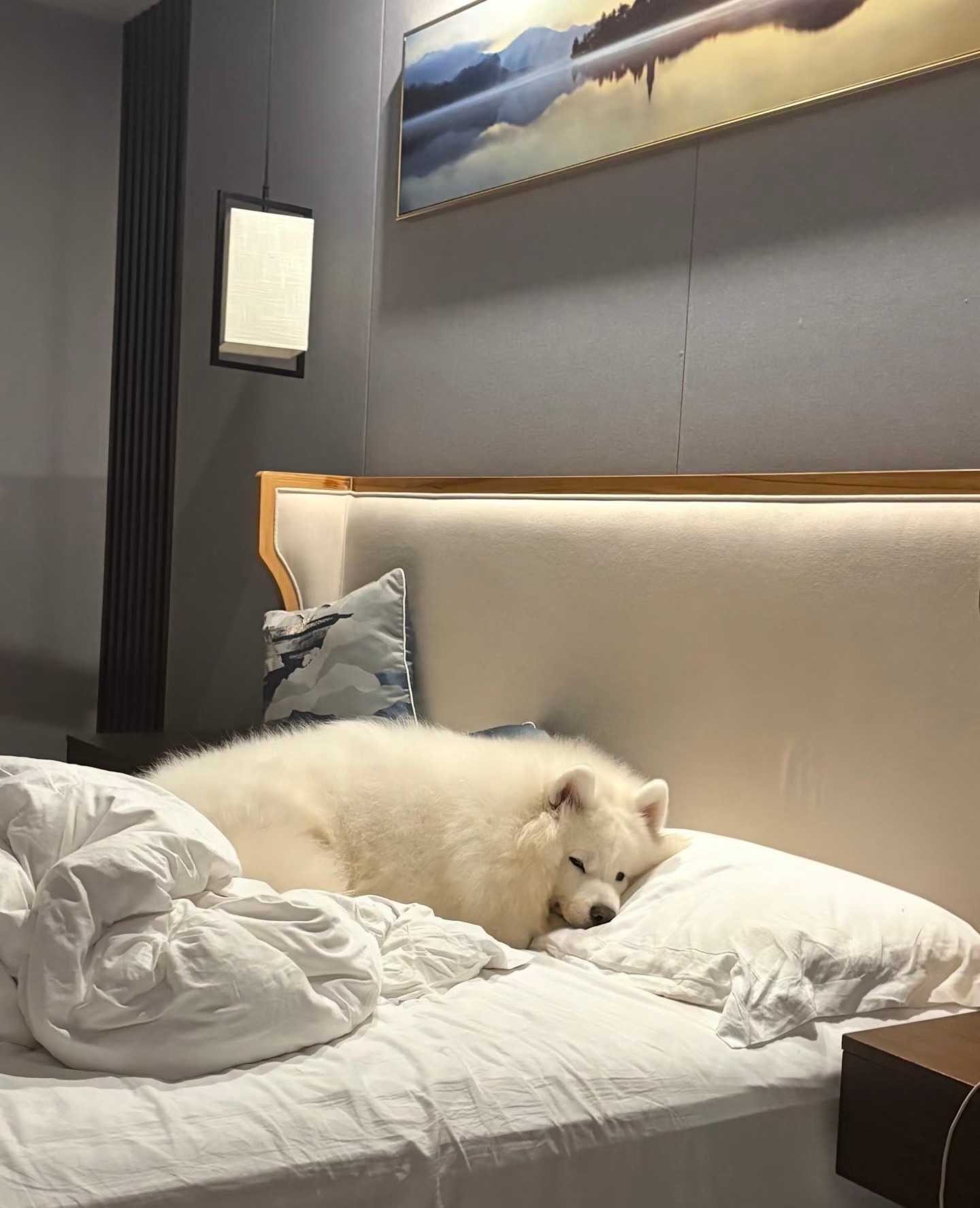 晚安耶 ​​​