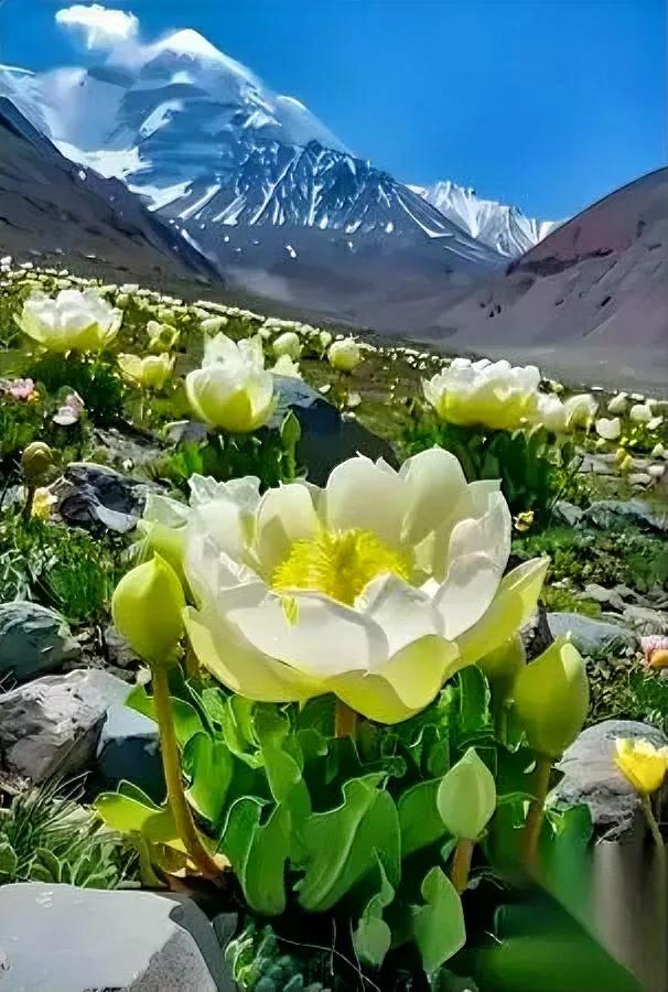 树不动就成枯木，人不动就废了！为啥有人越活越精彩？

关键在一个“动”字：圈子靠