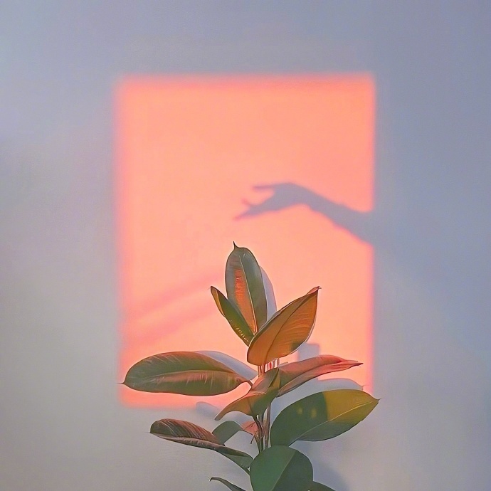 在自己的世界里独善其身，在别人的世界里顺其自然。如果快乐太难，那就祝你平安。 