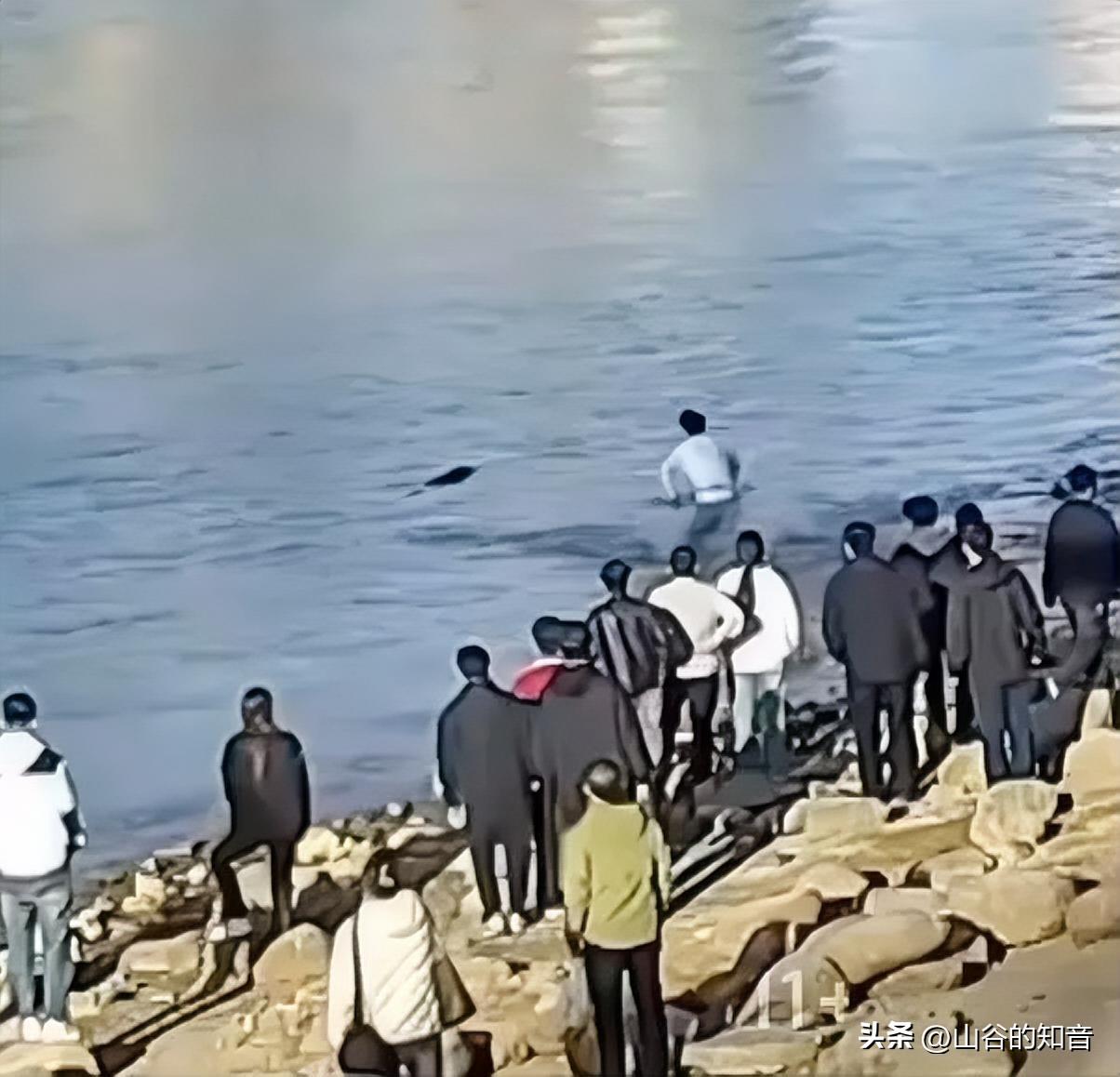 点赞了！甘肃兰州，黄河里面飘着一个人，众人在岸上施救，不料有一个大学生，啥也不顾