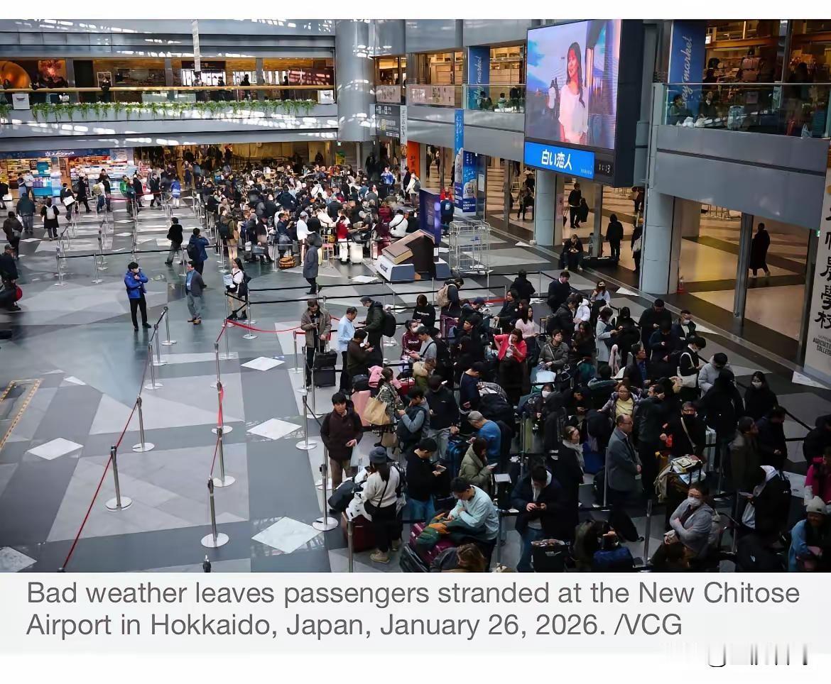 对于日本北海道滞留大量中国旅客这事儿，不是我们没有同情心，也不是我们对同胞麻木不