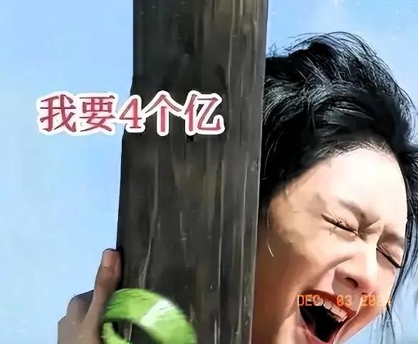 汪小菲与大S的台湾资产之争：一场法律与情感的较量

在娱乐圈中，明星夫妻的财产分