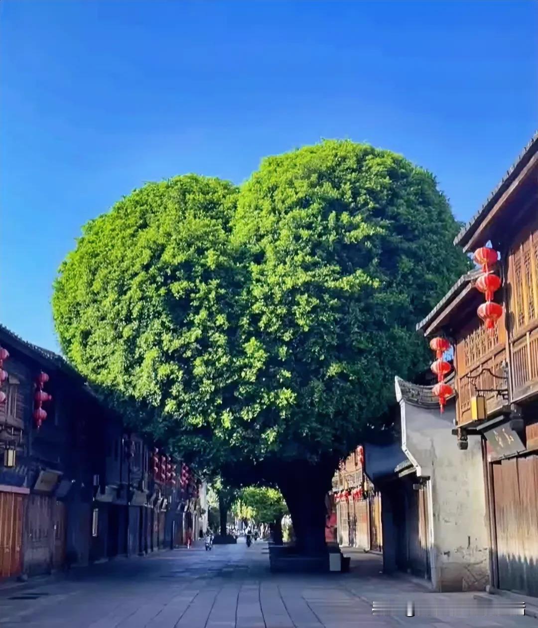 马上国庆了，福州文旅一觉醒来天都塌了 ​#醉美中秋赏味指南#