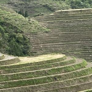小山坡上