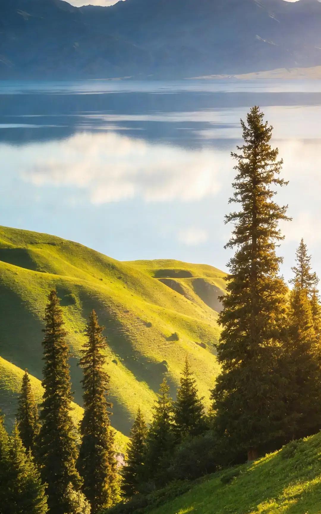 越活越有出息的女人，都自带这四种能力

真正能把日子过顺的女人，都藏着四种别人拿