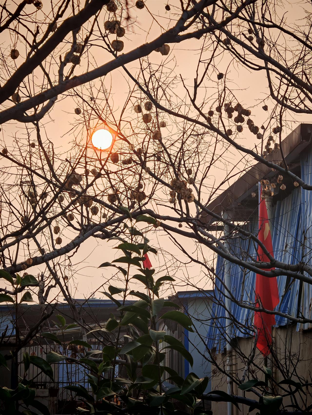 太阳每天都新的