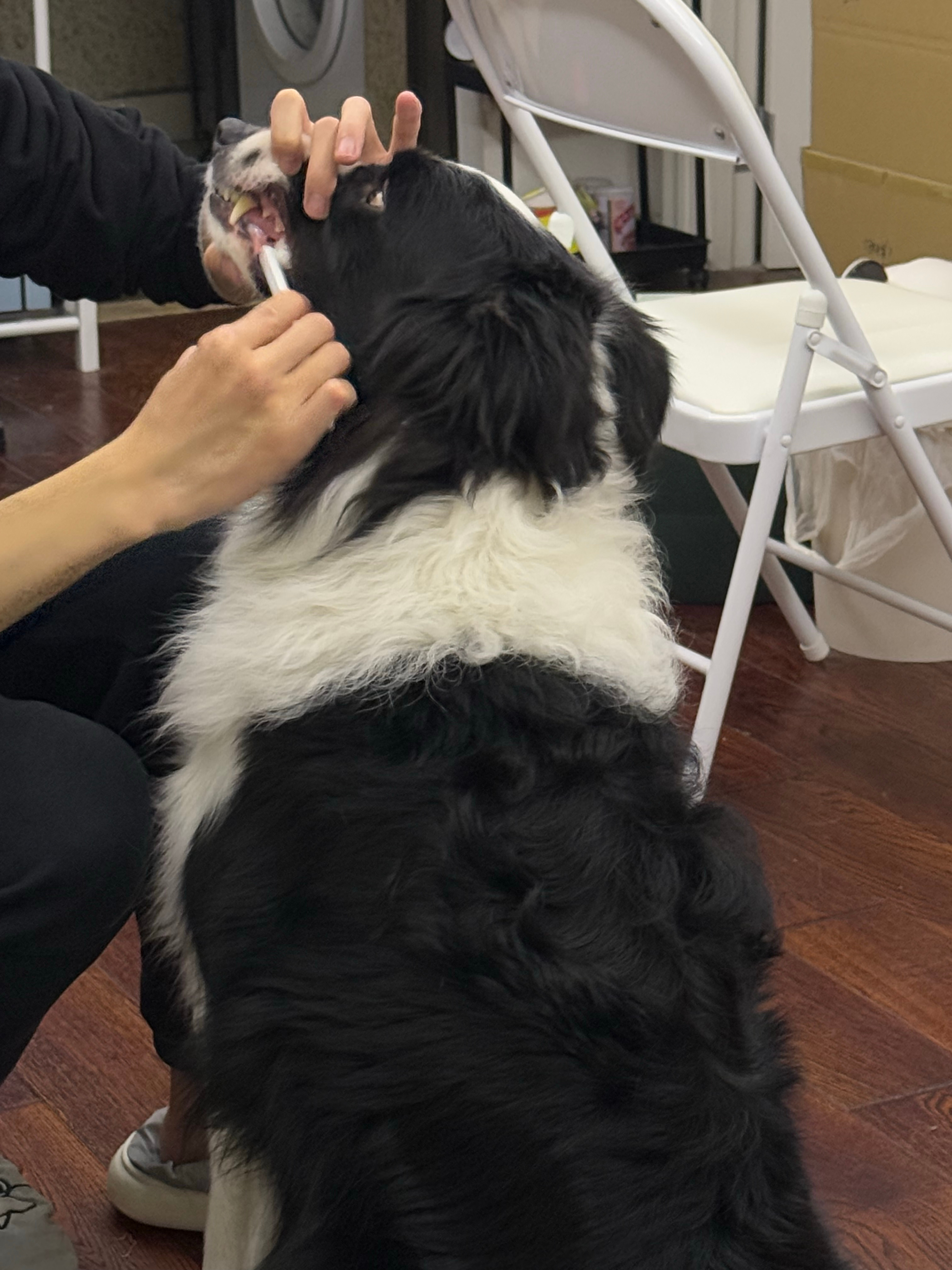 作为合租室友他让我很满意的一点的是会主动给焕焕刷牙还陪焕焕玩他的手机相册里也都是