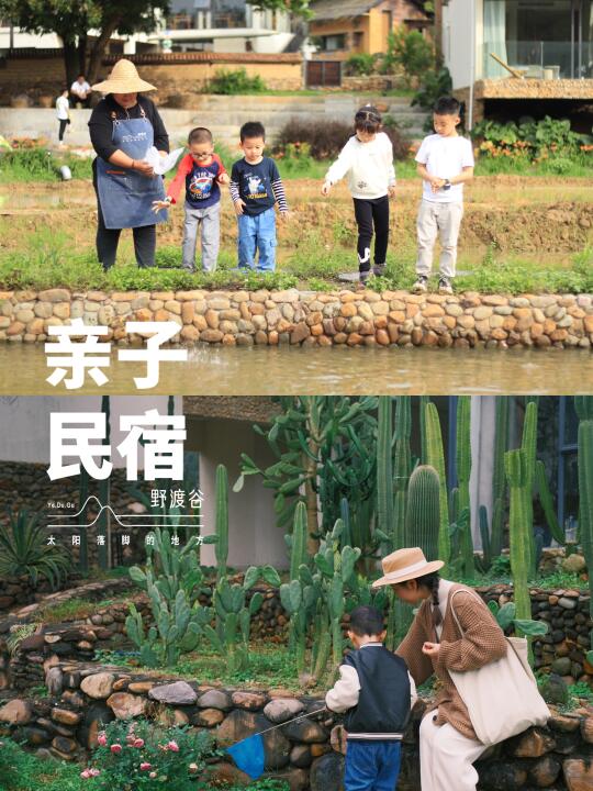 这是什么宝藏遛娃民宿 神兽放电天花板✨