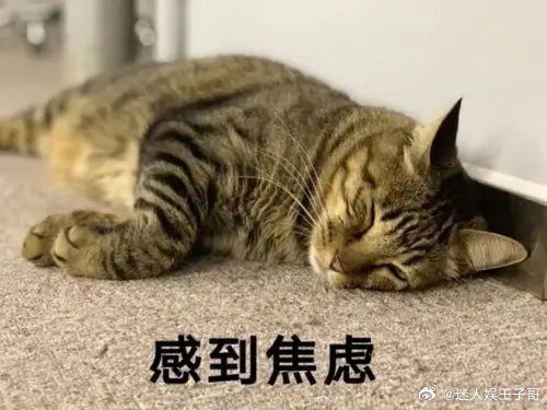 高考出分后的互联网评论区belike一段段短视频记录查分瞬间的多样情绪，有苦读终