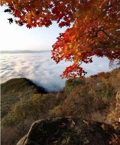 【品味人生几十年，有苦有累也有甜；风华正茂是以前，老来健康最值钱】
      