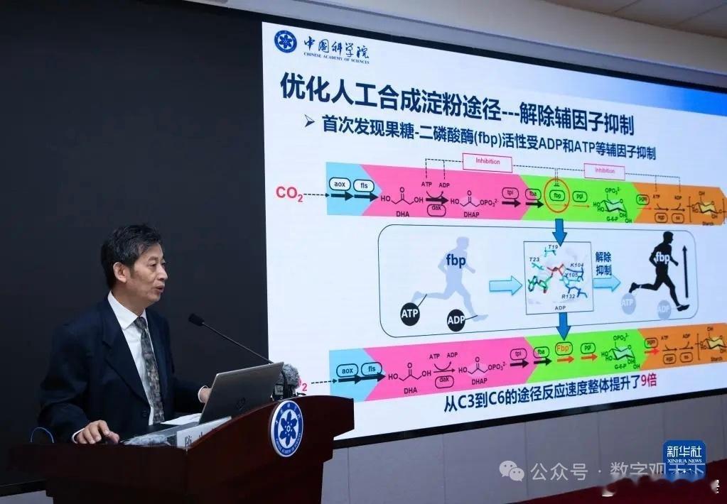 宽窄观察【 从“实验室奇迹”到“工厂革命”：人工合成淀粉如何重塑未来粮食安全图景