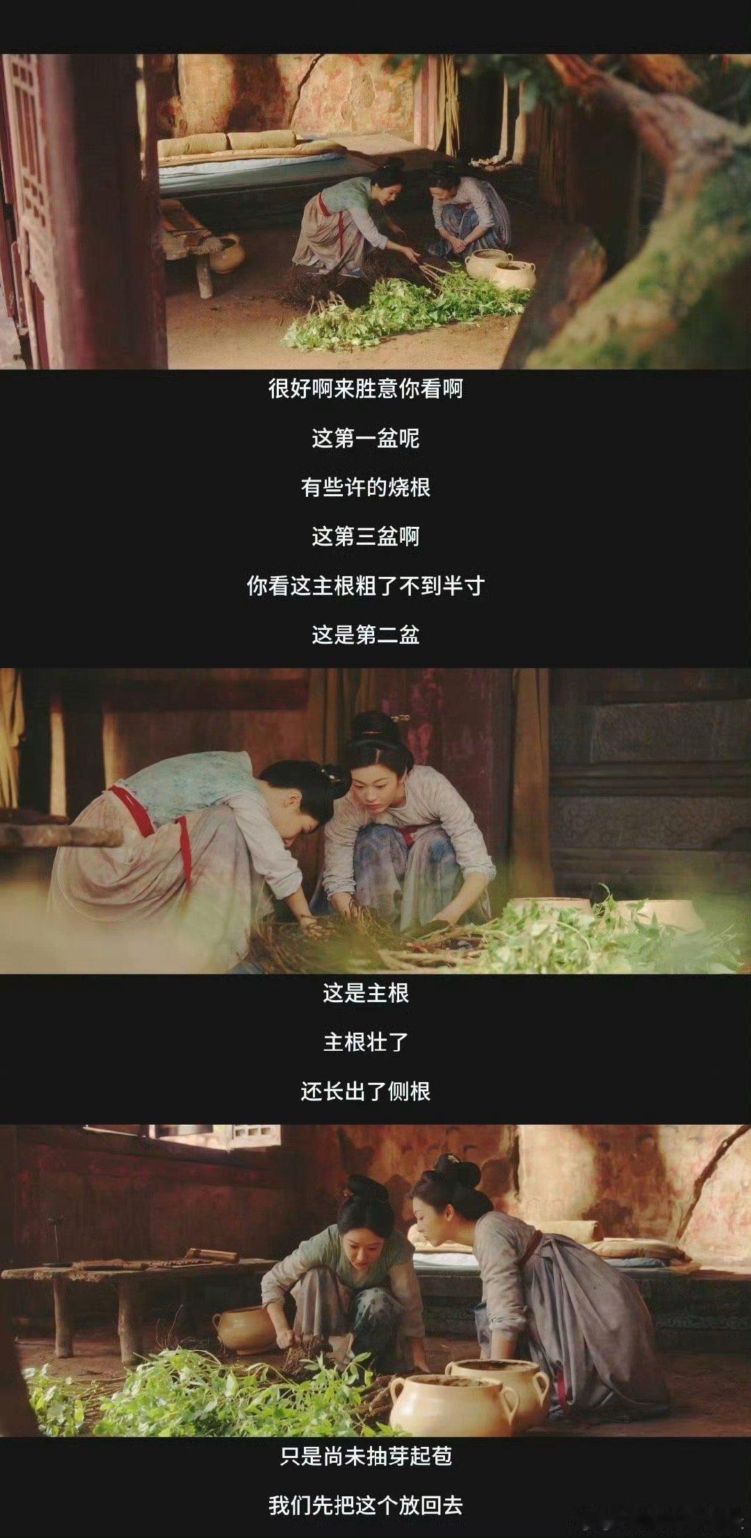 国色芳华有自己的开心农场 哈哈哈，我们国色芳华也有属于自己的开心农场，何惟芳种花