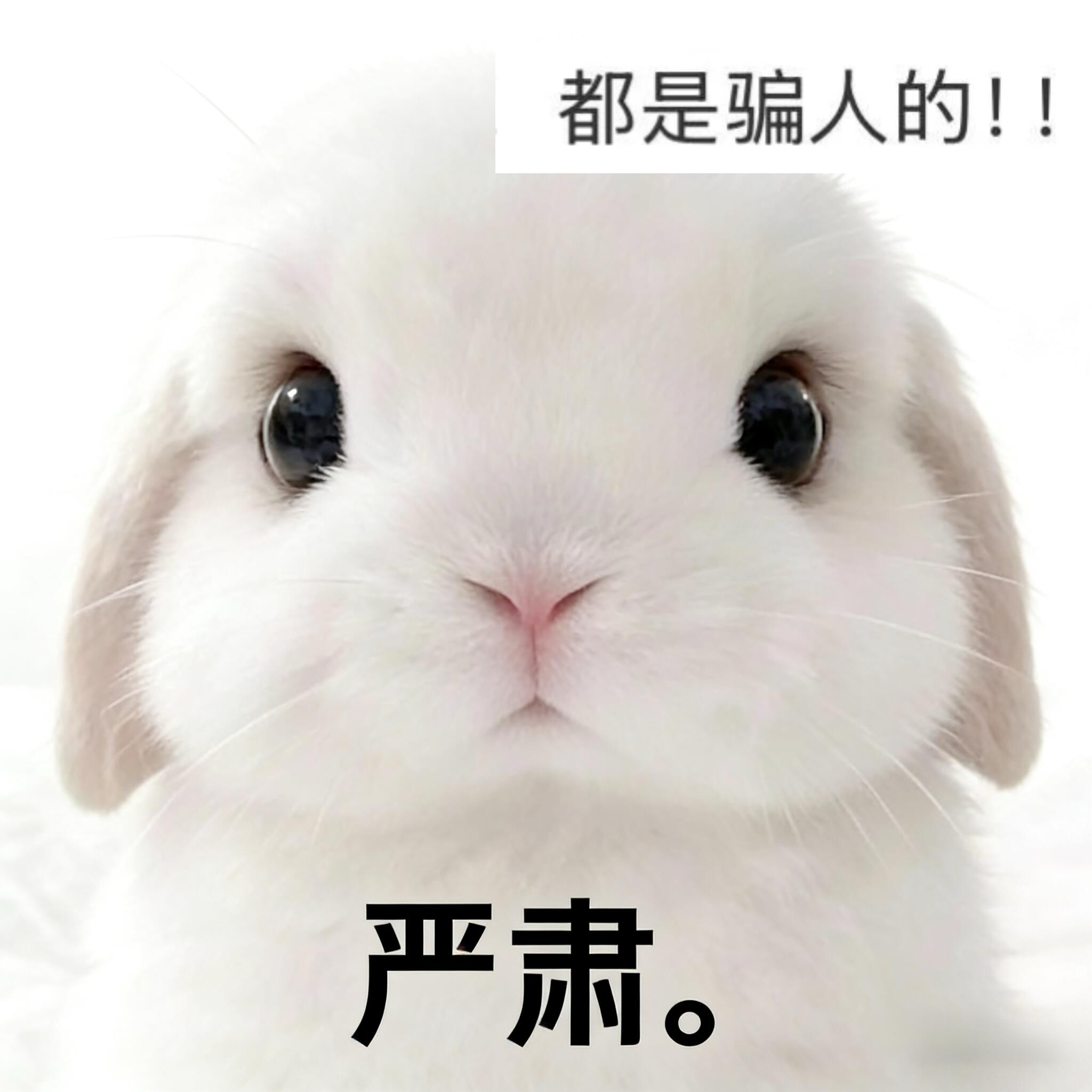 感觉宝宝就这样萌萌的严肃提醒大家！！