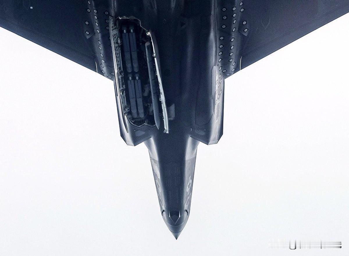 F-35战斗机仅有两个弹舱，但是从实际的挂载来看，还是能够挂载不少武器。