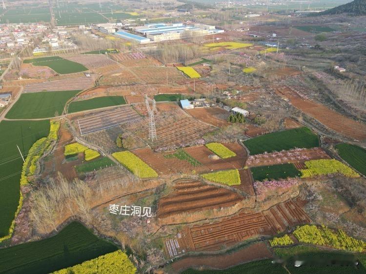 峄城竟有如此景致｜在峄城区榴园镇前黄山湖村西侧，藏着一处宝藏田园，至今依然保持着