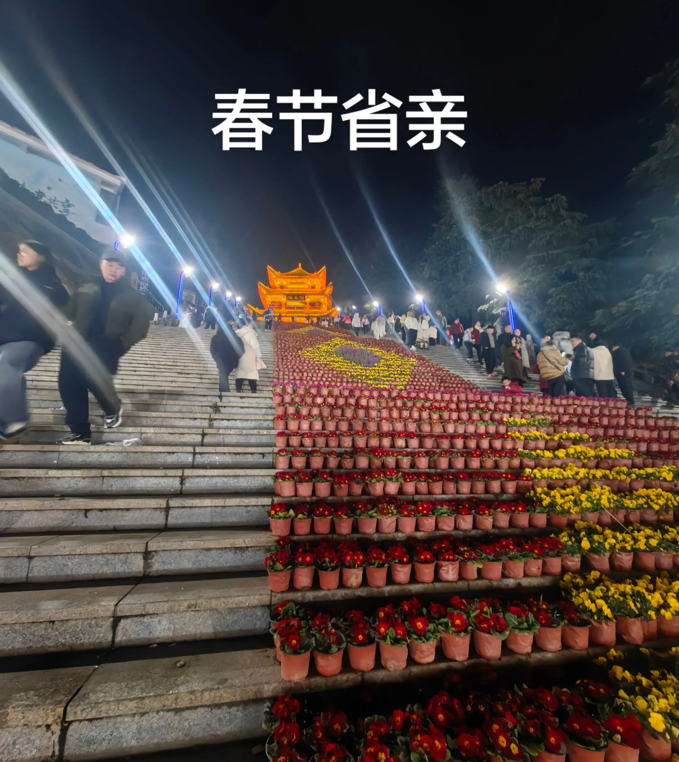 今年春节片段。这么长的假日，松驰感很强啊。