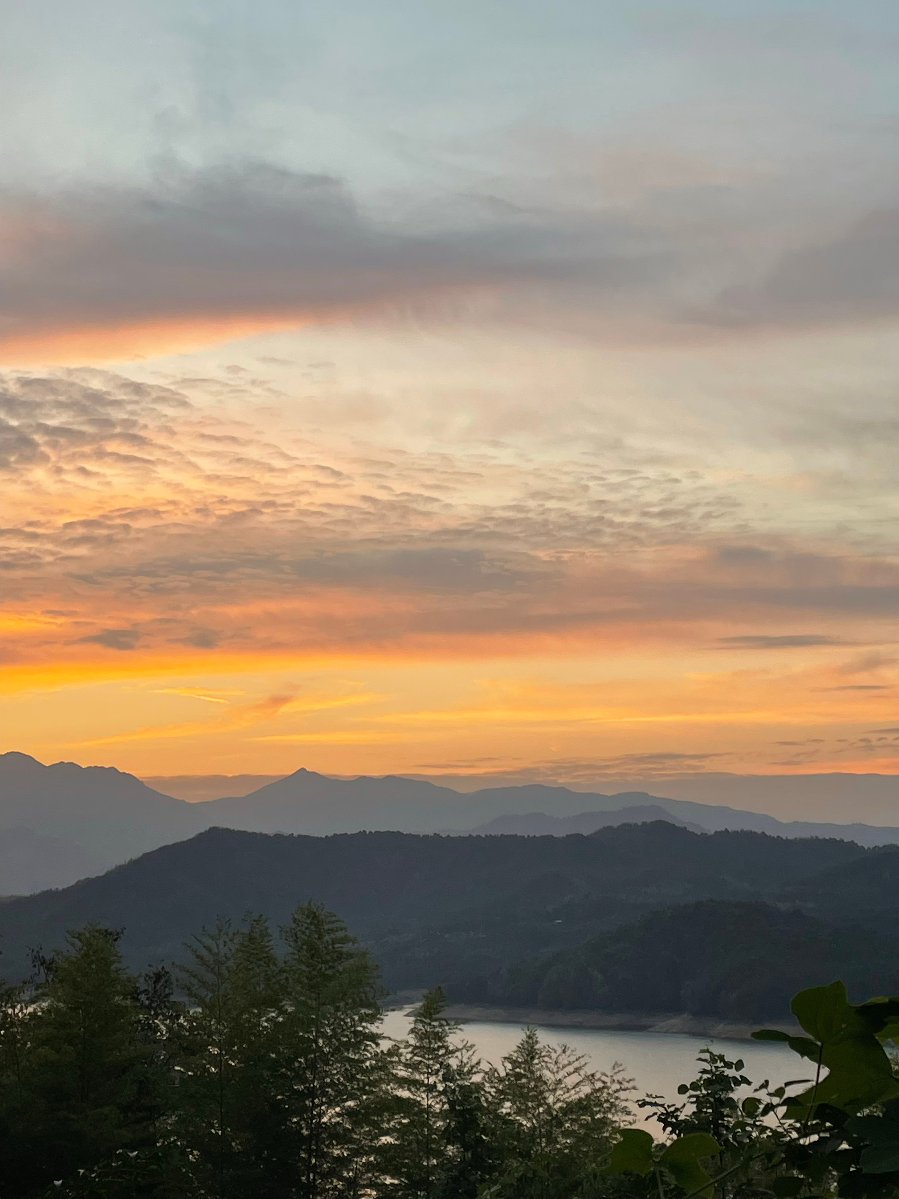 雷总不高强度冲浪了其他车企老板的IP热情也在退潮了陈震不知道还能不能回来挥斥方遒