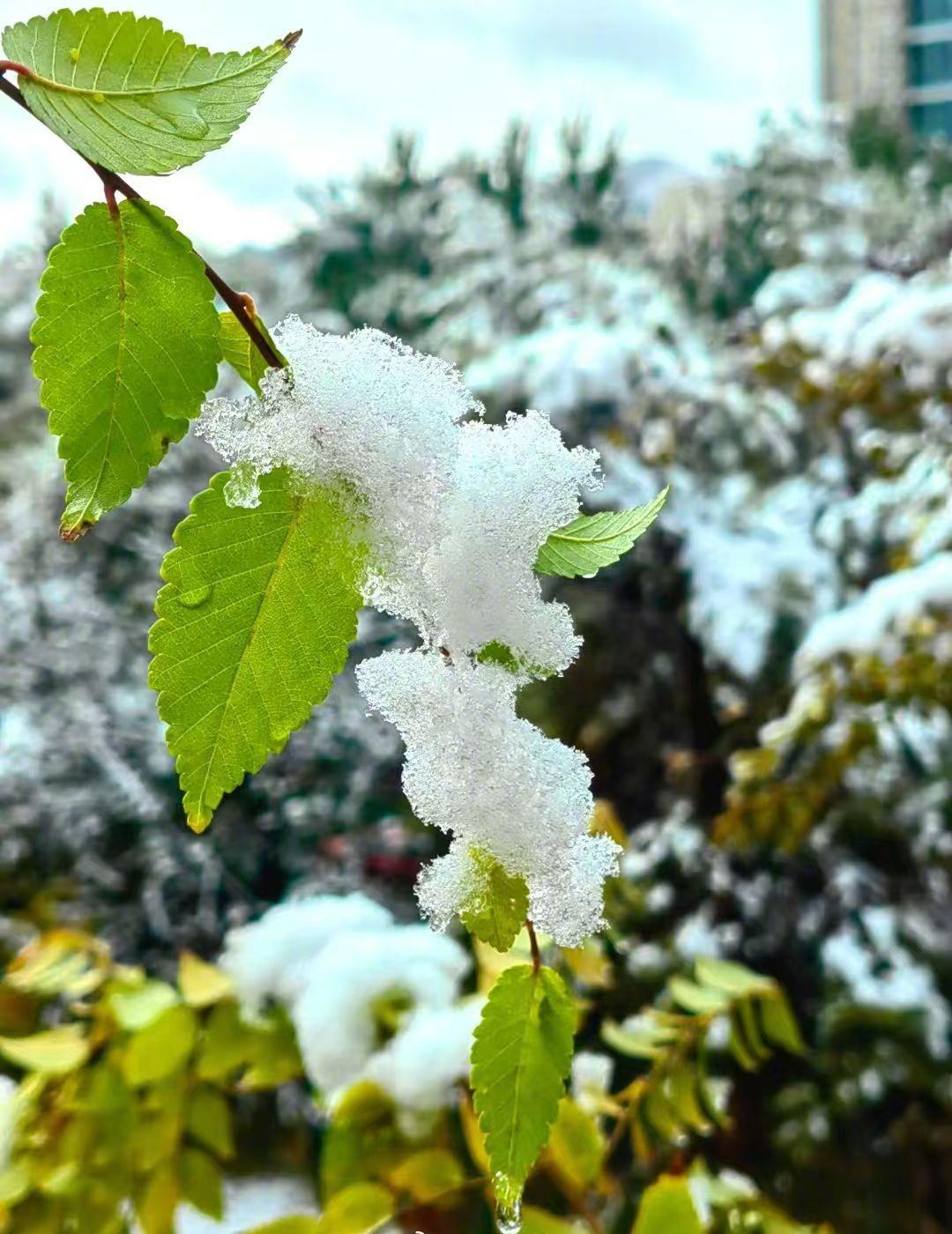 ，你想好了吗？