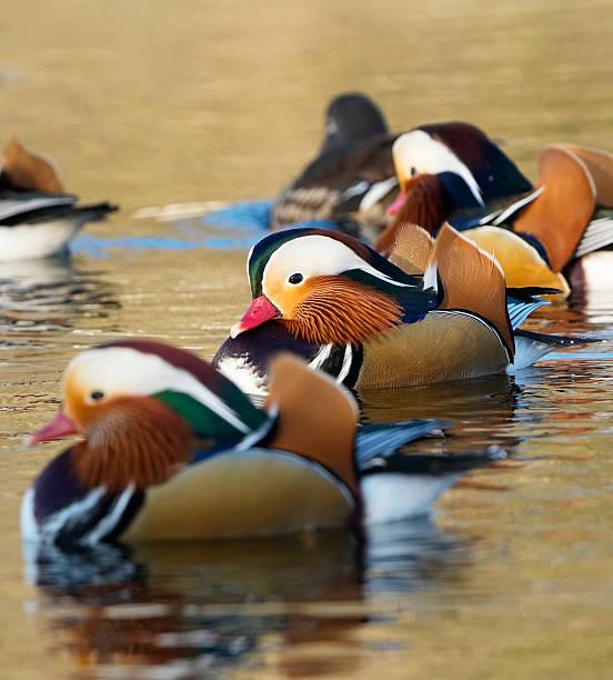 一位在城里安家的农村人问：
城市有楼，农村老房子到底还值不值得重建？
很多人有这
