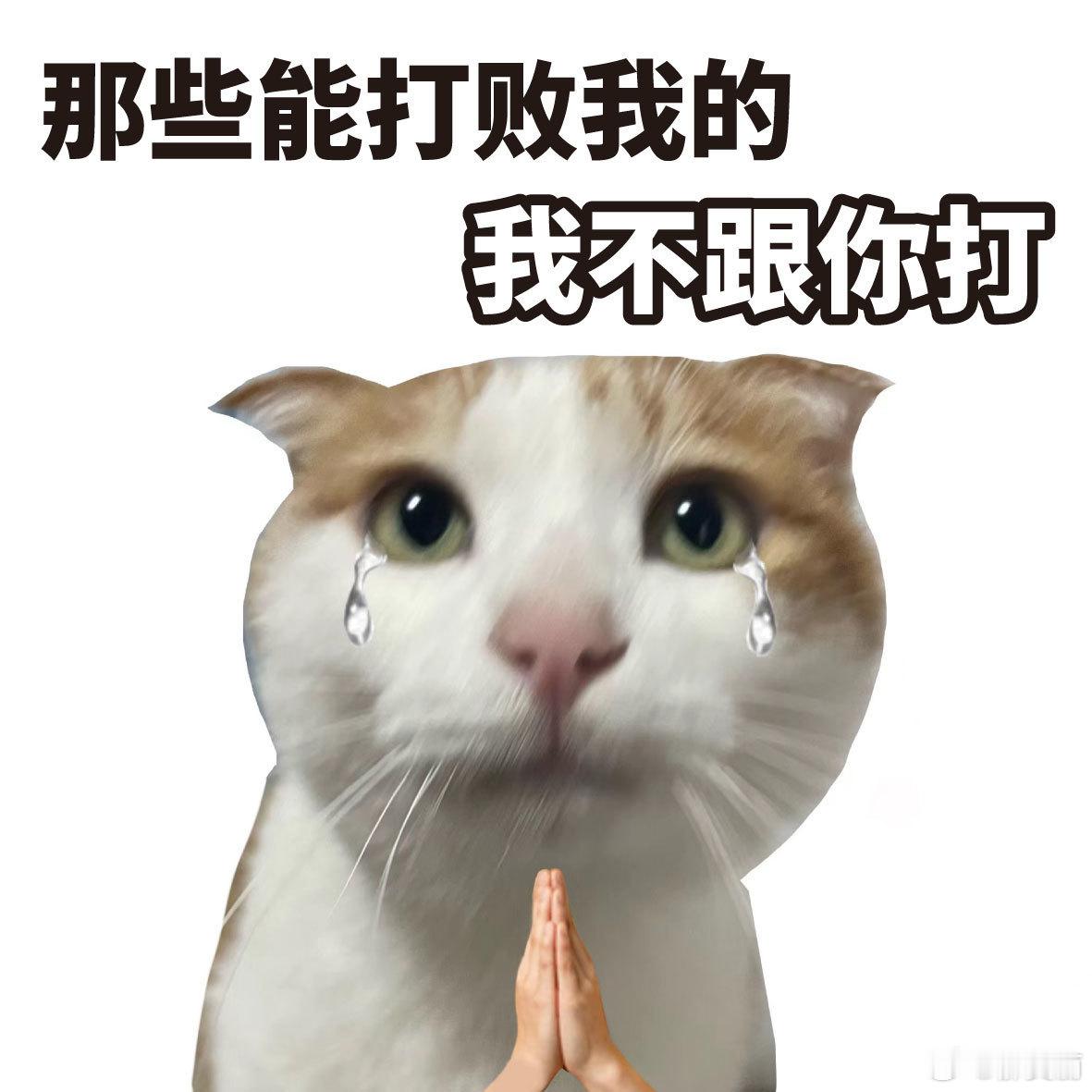 人人都笑话我，偏偏我最好笑 ​​​
