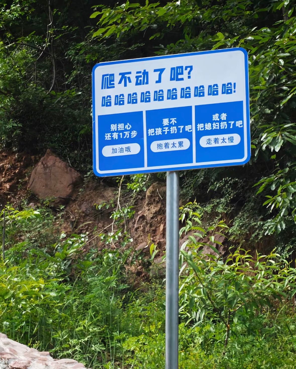 郑州的景区，🗡️死这帮烂货了 
