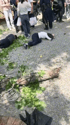 游人被树砸，医院又大发
环卫要负责，快点砍树丫