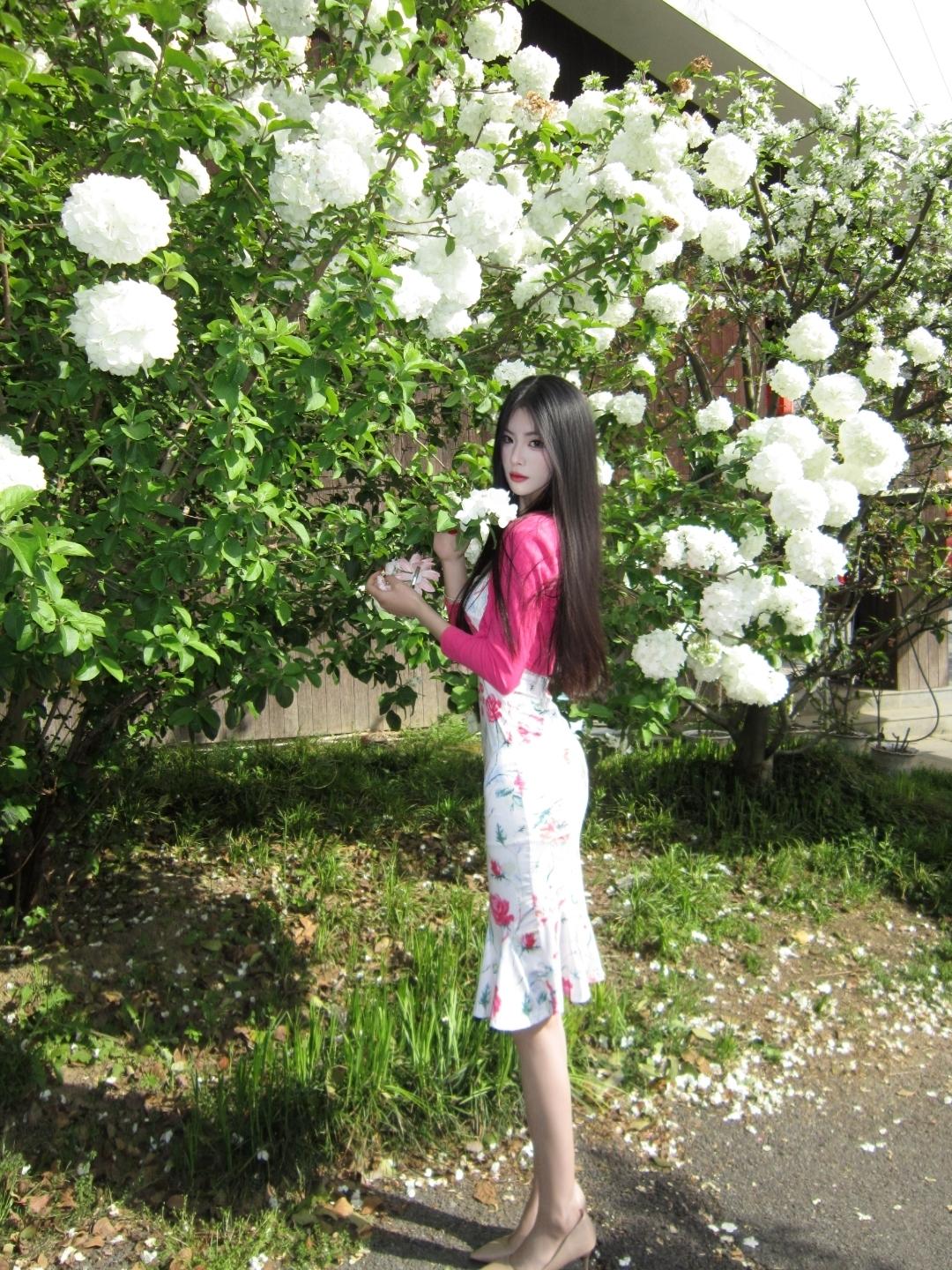 人间琴悠扬 姑娘把谁放心上