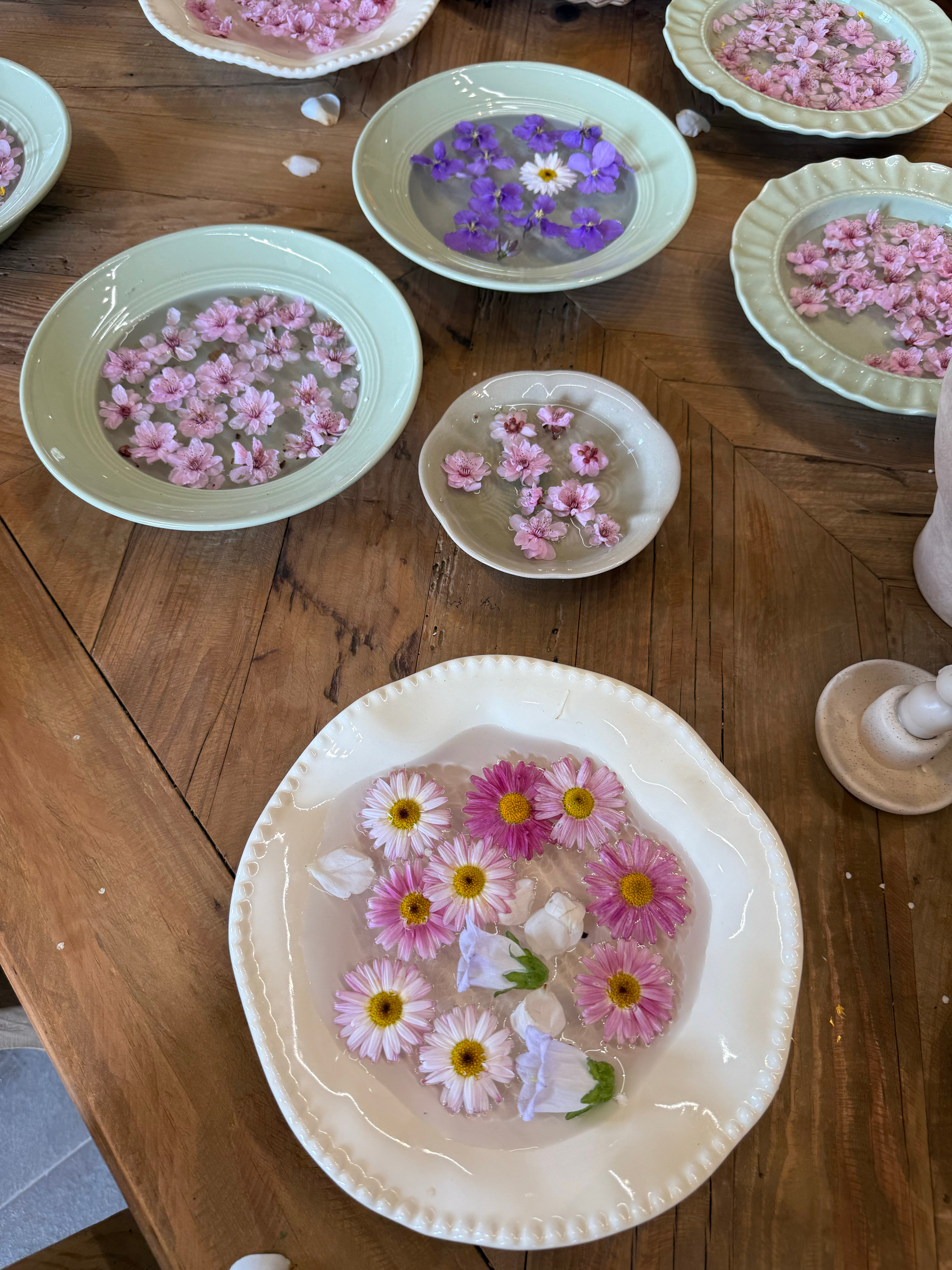 挺好玩的溜狗好去处～ 滁州·井楠茗宿