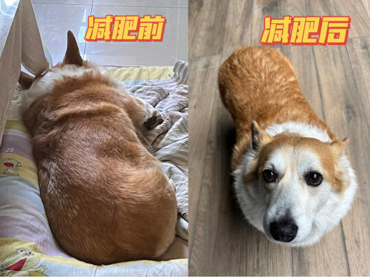 我们也算是减肥成功了