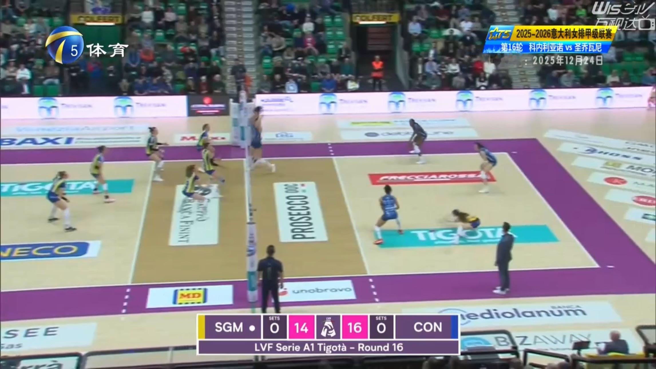 你津对排球是真爱播完联赛又重播意甲 