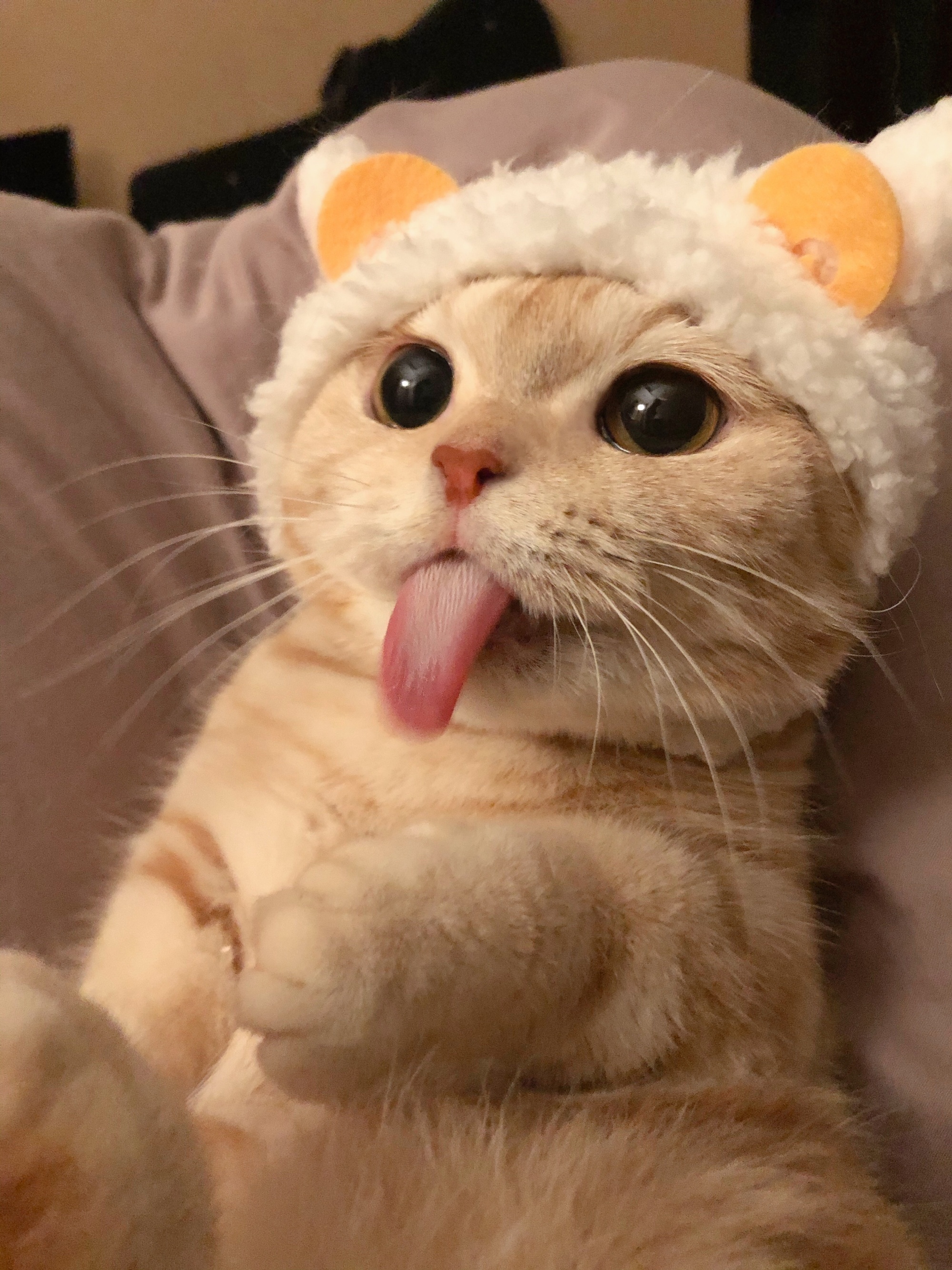 ᴼⁿˡʸ ʷʰᵉⁿ ᵒⁿᵉ ˡᵒᵒᵏˢ ʷⁱᵗʰ ʰⁱˢ ʰᵉᵃʳᵗ ᶜᵃⁿ ᵒ