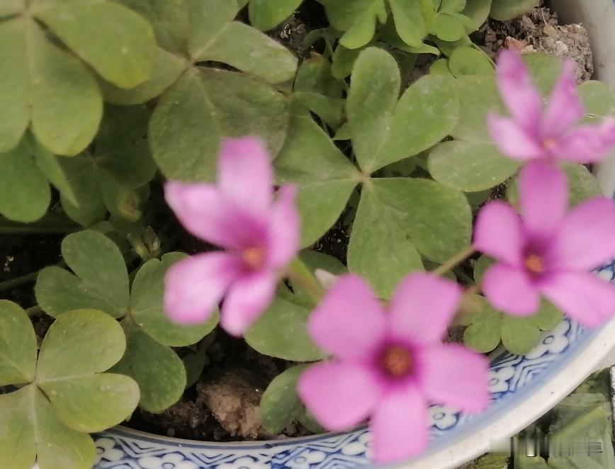 有了这些，老人就能活得潇洒和精彩。