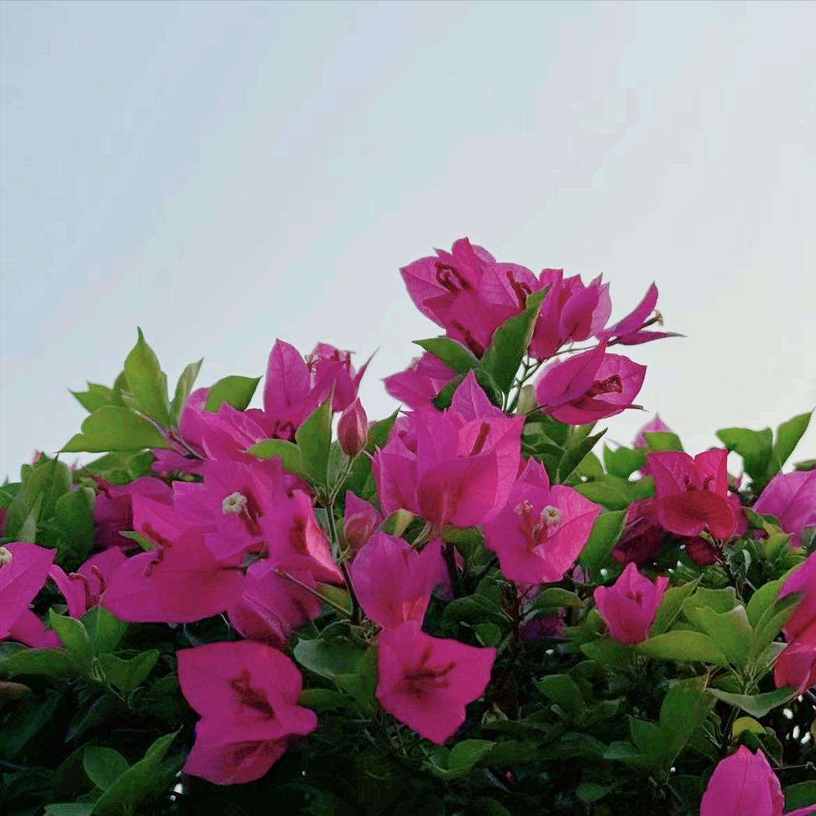 忻州市迎来新的主要负责同志
 
4月2日，70后的朔州籍人李建国履新该市。
 