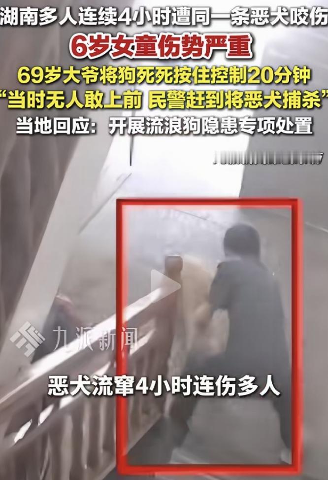 到底应不应该清理流浪狗，湖南隆回突发连环伤人事件敲响公共安全警钟。
 
一条流浪