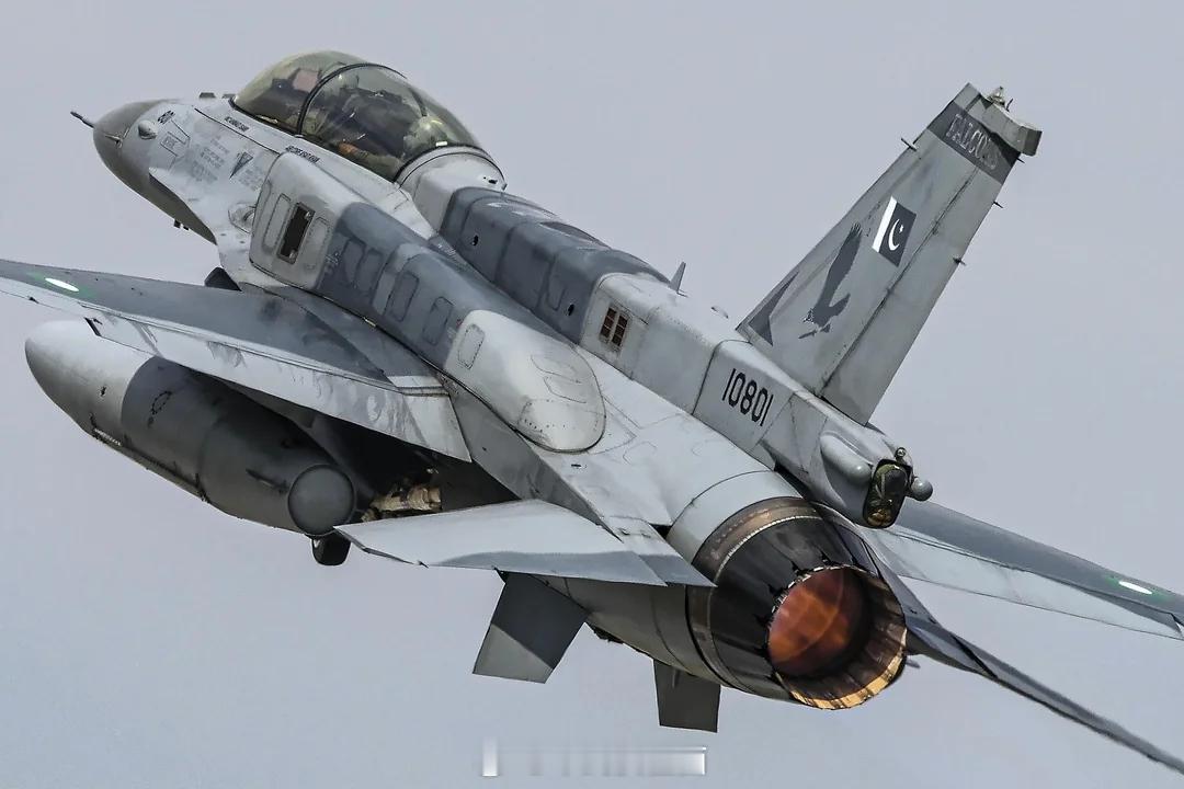 烽火问鼎计划 肌肉感拉满的巴基斯坦F-16D ​​​