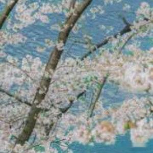 阳光信用[超话]阳光信用☀ 水滴石穿，从来不是水的力量，而是坚持的力量，人生不是