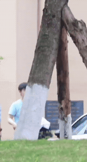 在成都训练的莎莎，有师傅邱贻可陪着，状态非常好，训练结束，莎莎手里拿着外套，一边