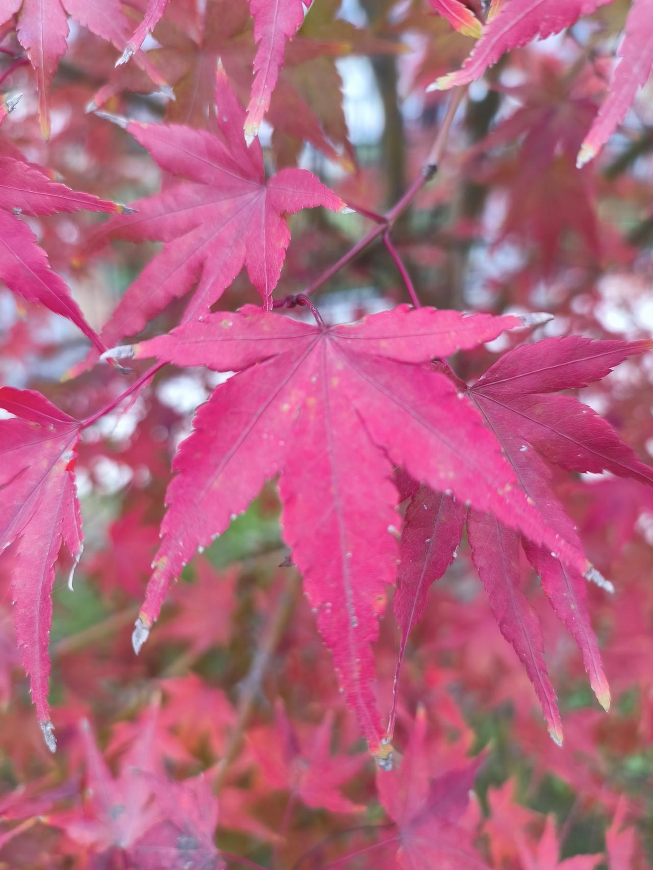 很多有名气的学校都有严格的规定，要求当天课堂作业或者试卷，必须当天完成。

这是