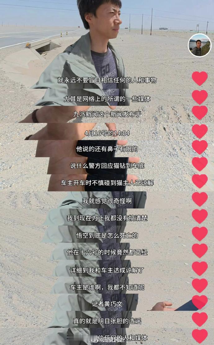 九派新闻 赵朔  今天才知道，造谣小猫“悟空”被车碾死的官媒九派新闻，就是弄小米