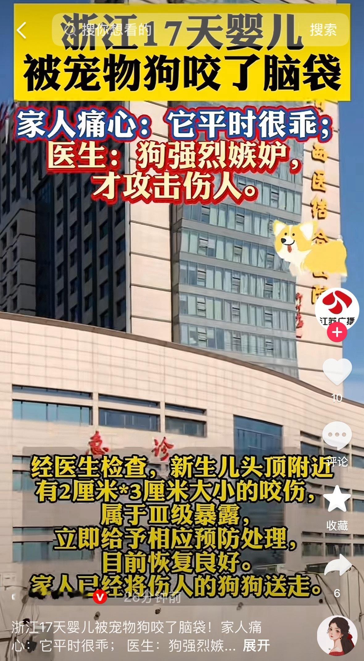 17天新生儿被自家宠物狗咬开脑袋这不就是爱狗人士常说的“我家的狗它不咬人”嘛真咬
