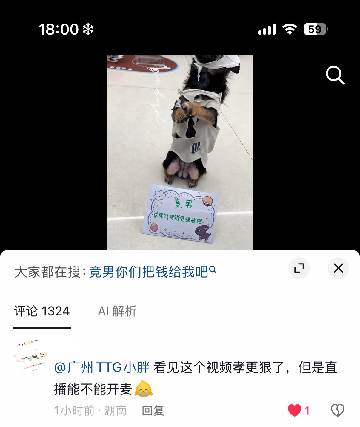 打开评论笑得公鸡叫！ 