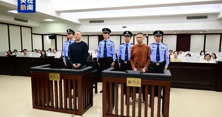 魏怀仁、陈大卫、廖景芳被判死刑！缅北魏家犯罪集团案宣判