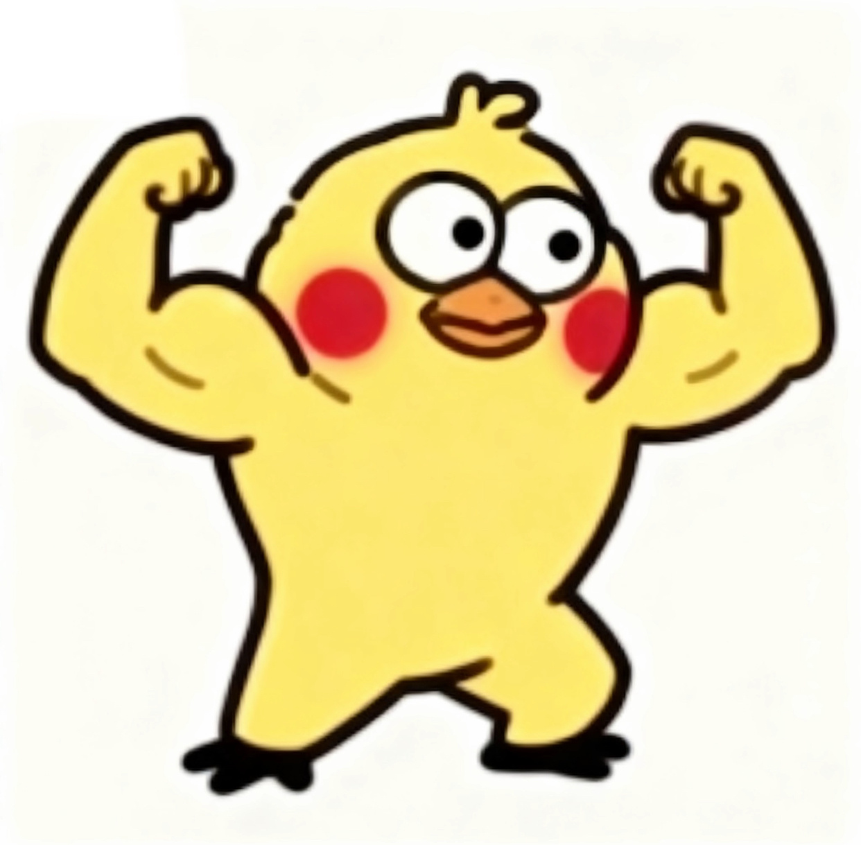 鹦鹉兄弟 健身 ​​​