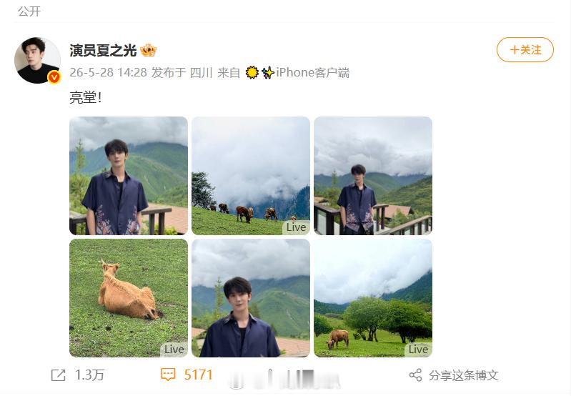 夏之光拍出童年课本感被夏之光照片拉回学生时代真的越看越有味道！夏之光镜头里的风景